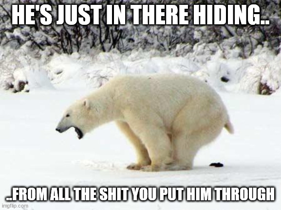 Polar Bear Shits in the Snow | HE'S JUST IN THERE HIDING.. ..FROM ALL THE SHIT YOU PUT HIM THROUGH | image tagged in polar bear shits in the snow | made w/ Imgflip meme maker