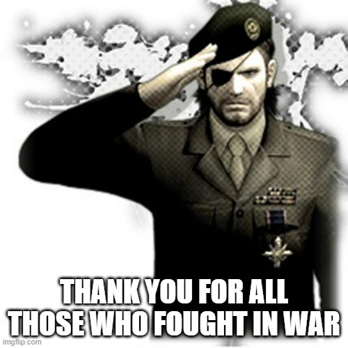 The country is safe because of you | THANK YOU FOR ALL THOSE WHO FOUGHT IN WAR | image tagged in solid snake salute | made w/ Imgflip meme maker