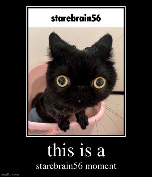 I love Starebrain56 | made w/ Imgflip meme maker