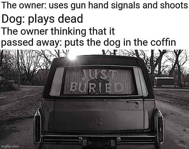 Gun hand signals | The owner: uses gun hand signals and shoots; Dog: plays dead; The owner thinking that it passed away: puts the dog in the coffin | image tagged in just buried,dogs,owner,dark humor,memes,gun | made w/ Imgflip meme maker