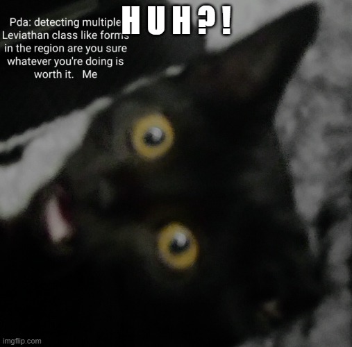 HUH?! MEW | H U H ? ! | image tagged in subnatica in a nutshell | made w/ Imgflip meme maker