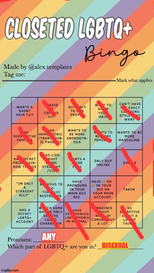 Seemed like a good idea (if I didn't understand a question, I didn't mark it) | ANY; BISEXUAL | image tagged in closeted lgbtq bingo | made w/ Imgflip meme maker