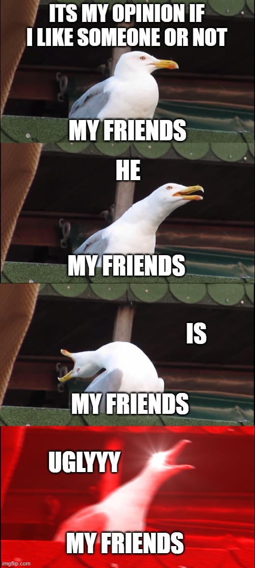 Inhaling Seagull | ITS MY OPINION IF I LIKE SOMEONE OR NOT; MY FRIENDS; HE; MY FRIENDS; IS; MY FRIENDS; UGLYYY; MY FRIENDS | image tagged in memes,inhaling seagull | made w/ Imgflip meme maker