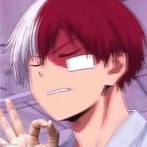 Todoroki | image tagged in todoroki | made w/ Imgflip meme maker