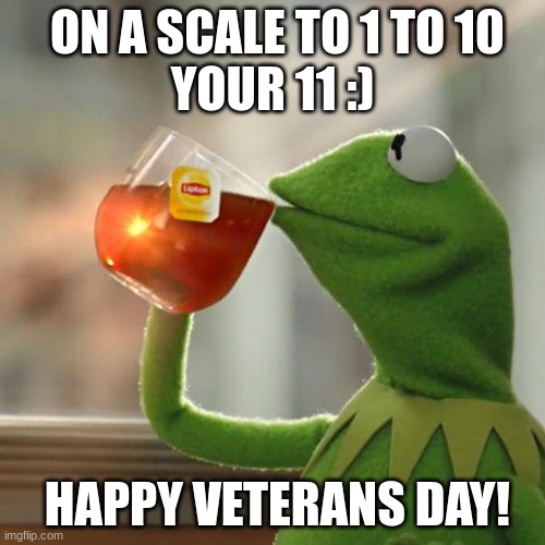 :) | ON A SCALE TO 1 TO 10
YOUR 11 :); HAPPY VETERANS DAY! | image tagged in memes,but that's none of my business,kermit the frog | made w/ Imgflip meme maker