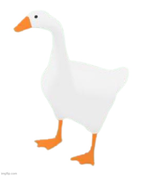Goose | image tagged in goose | made w/ Imgflip meme maker