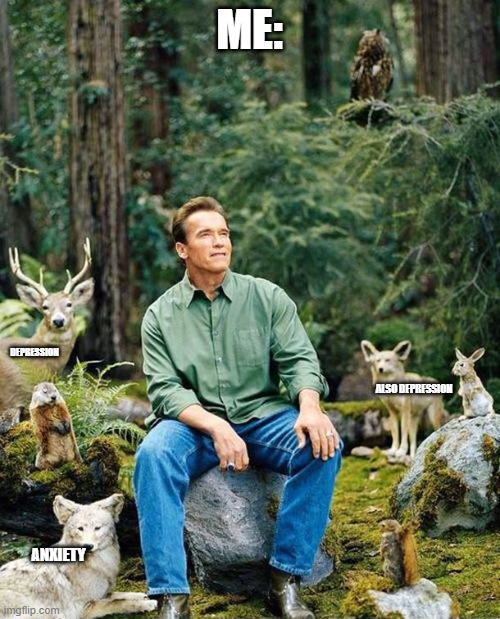 Arnold nature | ME: ANXIETY DEPRESSION ALSO DEPRESSION | image tagged in arnold nature | made w/ Imgflip meme maker