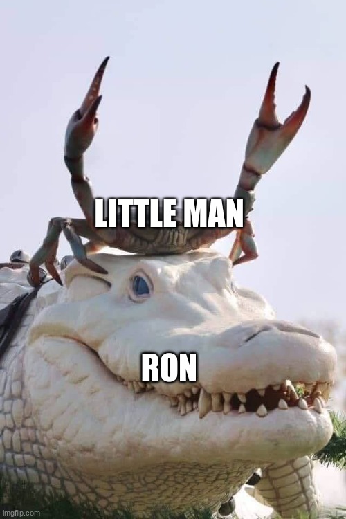Crab on Crocodile | LITTLE MAN RON | image tagged in crab on crocodile | made w/ Imgflip meme maker