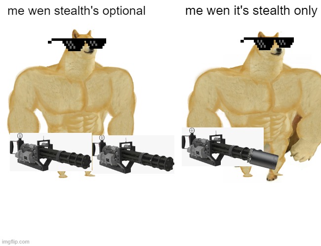 breaking the system | me wen stealth's optional; me wen it's stealth only | image tagged in memes,buff doge vs cheems | made w/ Imgflip meme maker