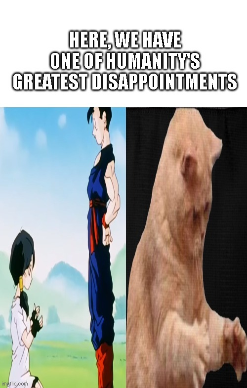 Why did this not work? | image tagged in cat,dragon ball z,dissapointed | made w/ Imgflip meme maker