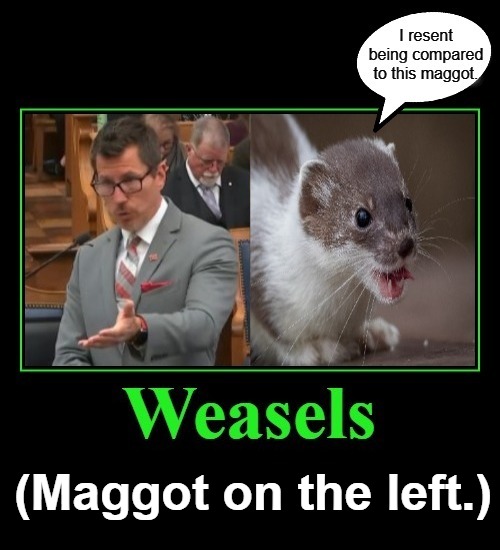 I resent being compared to this maggot! | (Maggot on the left.) | image tagged in weasel,maggot,leftwing maggots,sjw triggered,antifa,another name to identify failed abortions | made w/ Imgflip meme maker