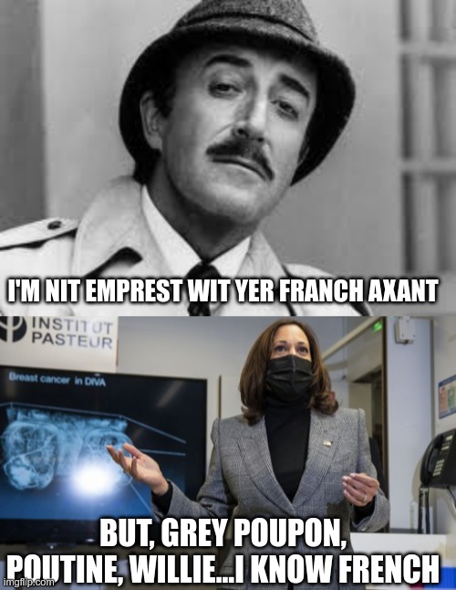 Fake it till you make it | I'M NIT EMPREST WIT YER FRANCH AXANT; BUT, GREY POUPON, POUTINE, WILLIE...I KNOW FRENCH | image tagged in inspector clouseau i'm knit impressed,kamala harris,dumb and dumber | made w/ Imgflip meme maker