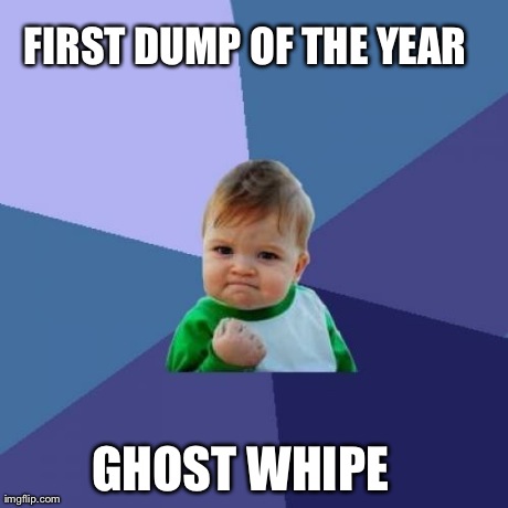 Success Kid | FIRST DUMP OF THE YEAR GHOST WHIPE | image tagged in memes,success kid,AdviceAnimals | made w/ Imgflip meme maker