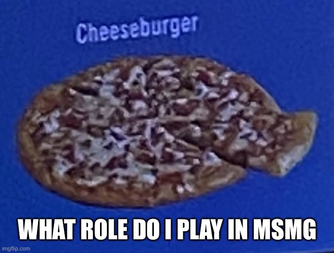 WHAT ROLE DO I PLAY IN MSMG | made w/ Imgflip meme maker
