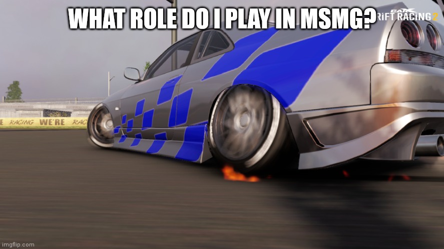 Nissan skyline R33 | WHAT ROLE DO I PLAY IN MSMG? | image tagged in nissan skyline r33 | made w/ Imgflip meme maker