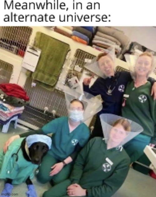 alternate universe | image tagged in alternate universe | made w/ Imgflip meme maker