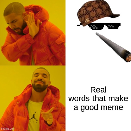 PLs | Real words that make a good meme | image tagged in memes,drake hotline bling | made w/ Imgflip meme maker