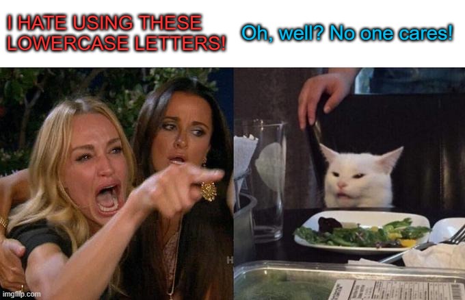 Woman Yelling At Cat Meme | I HATE USING THESE
LOWERCASE LETTERS! Oh, well? No one cares! | image tagged in memes,woman yelling at cat | made w/ Imgflip meme maker