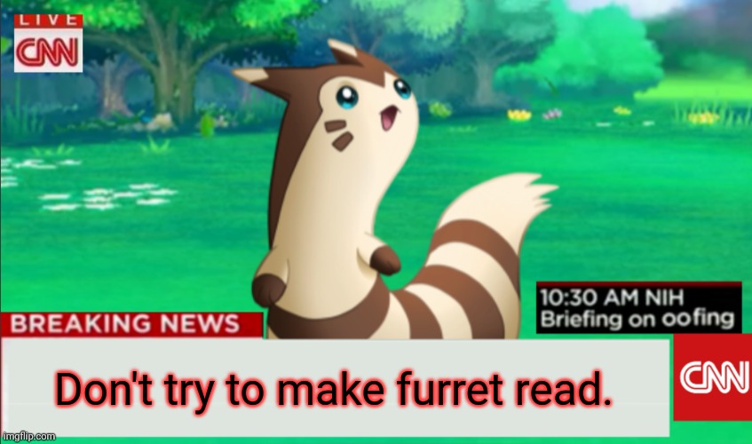 Breaking News Furret | Don't try to make furret read. | image tagged in breaking news furret | made w/ Imgflip meme maker