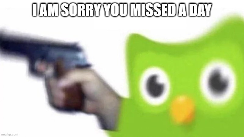 duolingo gun | I AM SORRY YOU MISSED A DAY | image tagged in duolingo gun | made w/ Imgflip meme maker