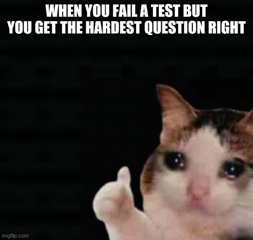 its ok | WHEN YOU FAIL A TEST BUT YOU GET THE HARDEST QUESTION RIGHT | image tagged in thumbs up crying cat | made w/ Imgflip meme maker