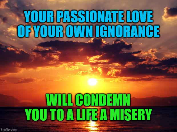Sunset | YOUR PASSIONATE LOVE OF YOUR OWN IGNORANCE; WILL CONDEMN YOU TO A LIFE A MISERY | image tagged in sunset | made w/ Imgflip meme maker
