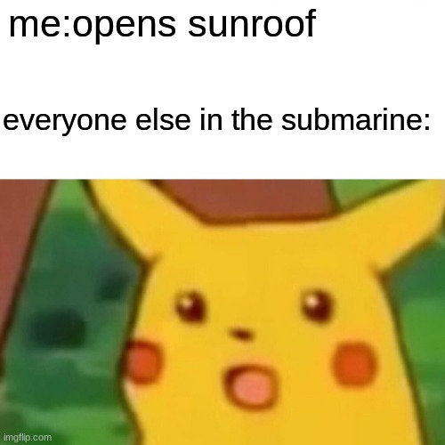 ooooo...fish | me:opens sunroof; everyone else in the submarine: | image tagged in memes,surprised pikachu | made w/ Imgflip meme maker