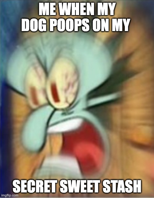 sqiud ward | ME WHEN MY DOG POOPS ON MY; SECRET SWEET STASH | image tagged in funny memes | made w/ Imgflip meme maker