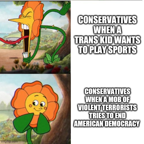 I look forward to your misspelled whining | CONSERVATIVES WHEN A TRANS KID WANTS TO PLAY SPORTS; CONSERVATIVES WHEN A MOB OF VIOLENT TERRORISTS TRIES TO END AMERICAN DEMOCRACY | image tagged in cuphead flower,terrorists,scumbag republicans,maga | made w/ Imgflip meme maker