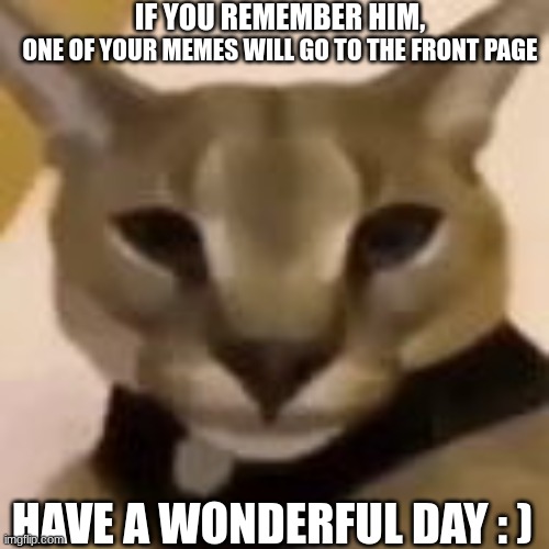 :) | IF YOU REMEMBER HIM, ONE OF YOUR MEMES WILL GO TO THE FRONT PAGE; HAVE A WONDERFUL DAY : ) | image tagged in hecker,remember this guy,front page,have a good day | made w/ Imgflip meme maker