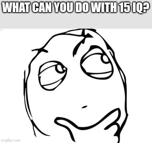 15 iq | WHAT CAN YOU DO WITH 15 IQ? | image tagged in memes,question rage face | made w/ Imgflip meme maker