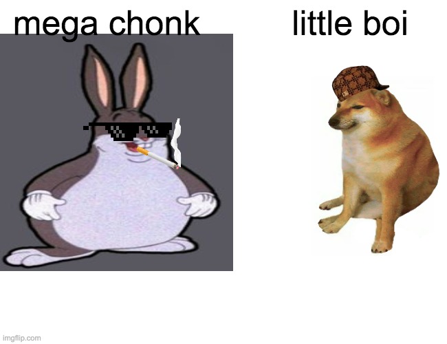 chungus | mega chonk; little boi | image tagged in buff doge vs cheems | made w/ Imgflip meme maker