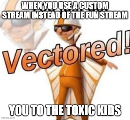 You just got vectored | WHEN YOU USE A CUSTOM STREAM INSTEAD OF THE FUN STREAM; YOU TO THE TOXIC KIDS | image tagged in you just got vectored | made w/ Imgflip meme maker