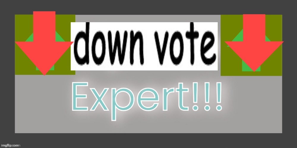 Downvote expert | image tagged in downvote expert | made w/ Imgflip meme maker