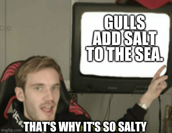 and that's a fact | GULLS ADD SALT TO THE SEA. THAT'S WHY IT'S SO SALTY | image tagged in and that's a fact | made w/ Imgflip meme maker