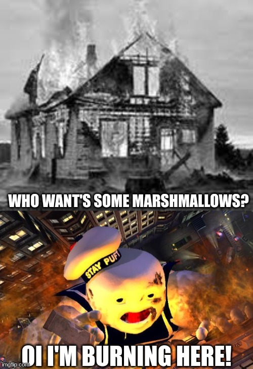 Campfire funtime! | WHO WANT'S SOME MARSHMALLOWS? OI I'M BURNING HERE! | image tagged in house fire at ms maudie's house | made w/ Imgflip meme maker