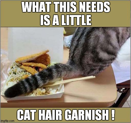 The Food Tastes Funny Again ! | WHAT THIS NEEDS
IS A LITTLE; CAT HAIR GARNISH ! | image tagged in cats,cat hair,bad taste | made w/ Imgflip meme maker