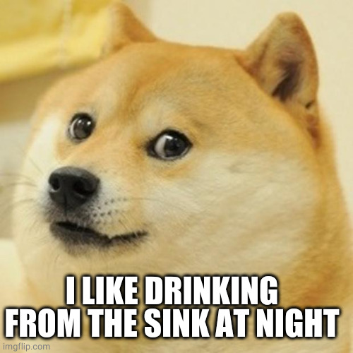 Doge Meme | I LIKE DRINKING FROM THE SINK AT NIGHT | image tagged in memes,doge | made w/ Imgflip meme maker