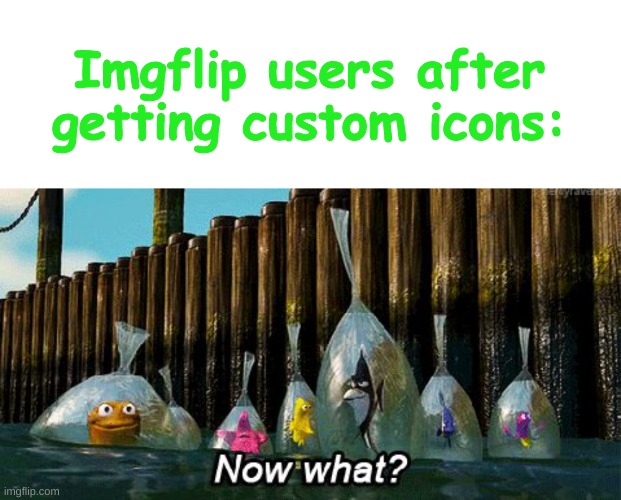 now we just need more than 1 color in each pfp or more colors | Imgflip users after getting custom icons: | image tagged in memes,blank transparent square,now what,lol,imgflip users,profile picture | made w/ Imgflip meme maker