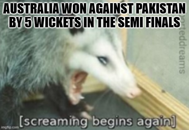 PAK was playing good and then in the last hour they went down so bad. Alu kept on giving the batters easy pitches for some reaso | AUSTRALIA WON AGAINST PAKISTAN BY 5 WICKETS IN THE SEMI FINALS | image tagged in screaming begins again | made w/ Imgflip meme maker