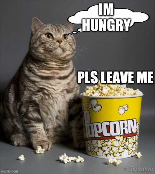 Cat eating popcorn |  IM HUNGRY; PLS LEAVE ME | image tagged in cat eating popcorn | made w/ Imgflip meme maker