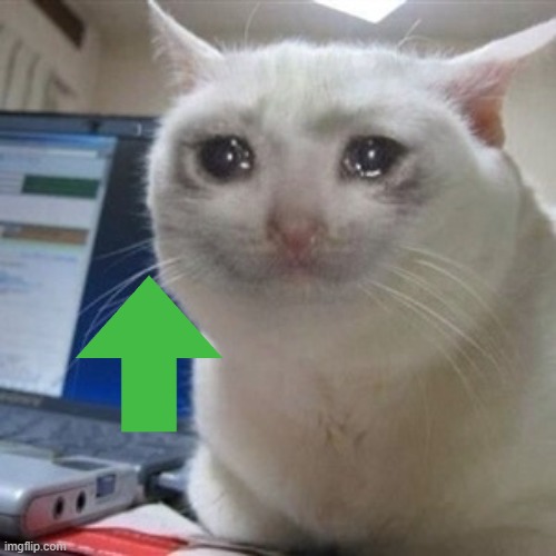 Crying cat | image tagged in crying cat | made w/ Imgflip meme maker