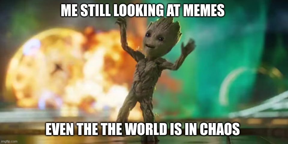 heheh | ME STILL LOOKING AT MEMES; EVEN THE THE WORLD IS IN CHAOS | image tagged in baby groot | made w/ Imgflip meme maker