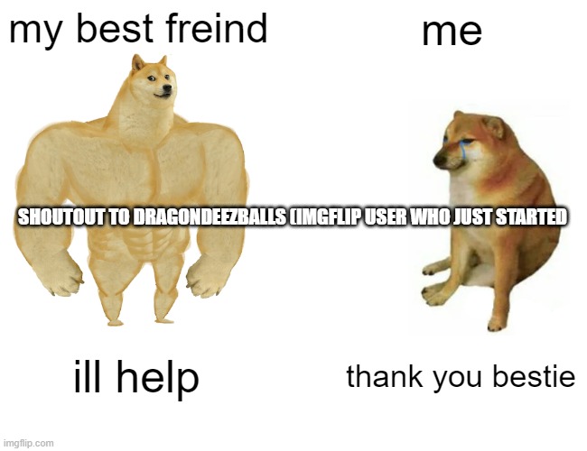 HAA | my best freind; me; SHOUTOUT TO DRAGONDEEZBALLS (IMGFLIP USER WHO JUST STARTED; ill help; thank you bestie | image tagged in memes,buff doge vs cheems | made w/ Imgflip meme maker