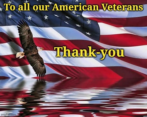With sincere gratitude for your service | To all our American Veterans; Thank-you | image tagged in veterans day,thank you,support our troops | made w/ Imgflip meme maker