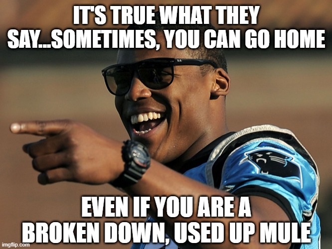 Carolina Cam Again | IT'S TRUE WHAT THEY SAY...SOMETIMES, YOU CAN GO HOME; EVEN IF YOU ARE A BROKEN DOWN, USED UP MULE | image tagged in cam newton | made w/ Imgflip meme maker
