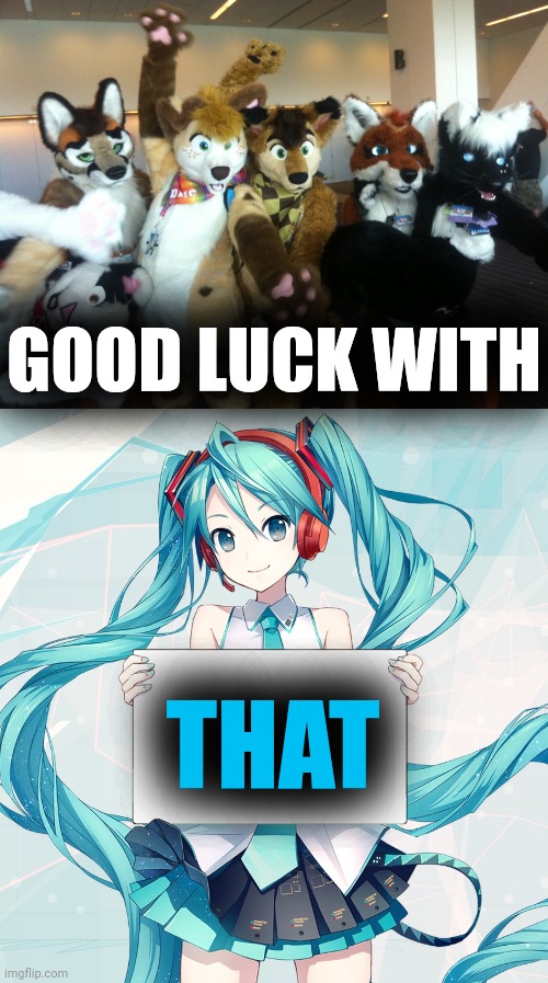 GOOD LUCK WITH THAT | image tagged in furries,hatsune miku holding a sign | made w/ Imgflip meme maker