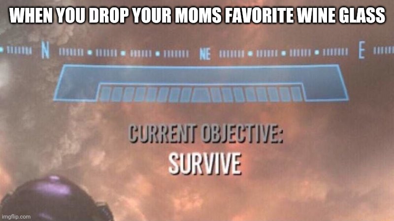 Current Objective: Survive | WHEN YOU DROP YOUR MOMS FAVORITE WINE GLASS | image tagged in current objective survive | made w/ Imgflip meme maker