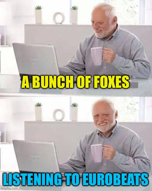 Hide the Pain Harold Meme | A BUNCH OF FOXES LISTENING TO EUROBEATS | image tagged in memes,hide the pain harold | made w/ Imgflip meme maker