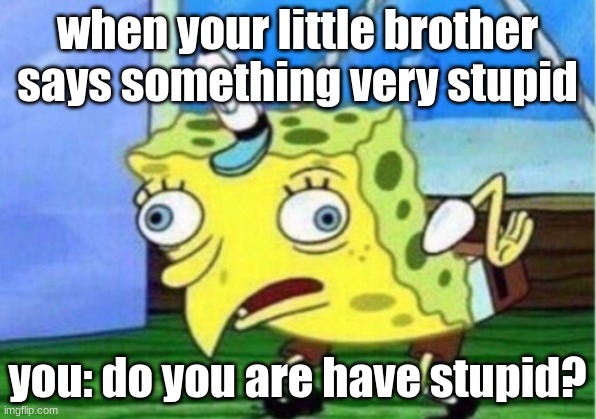 Mocking Spongebob Meme | when your little brother says something very stupid; you: do you are have stupid? | image tagged in memes,mocking spongebob | made w/ Imgflip meme maker